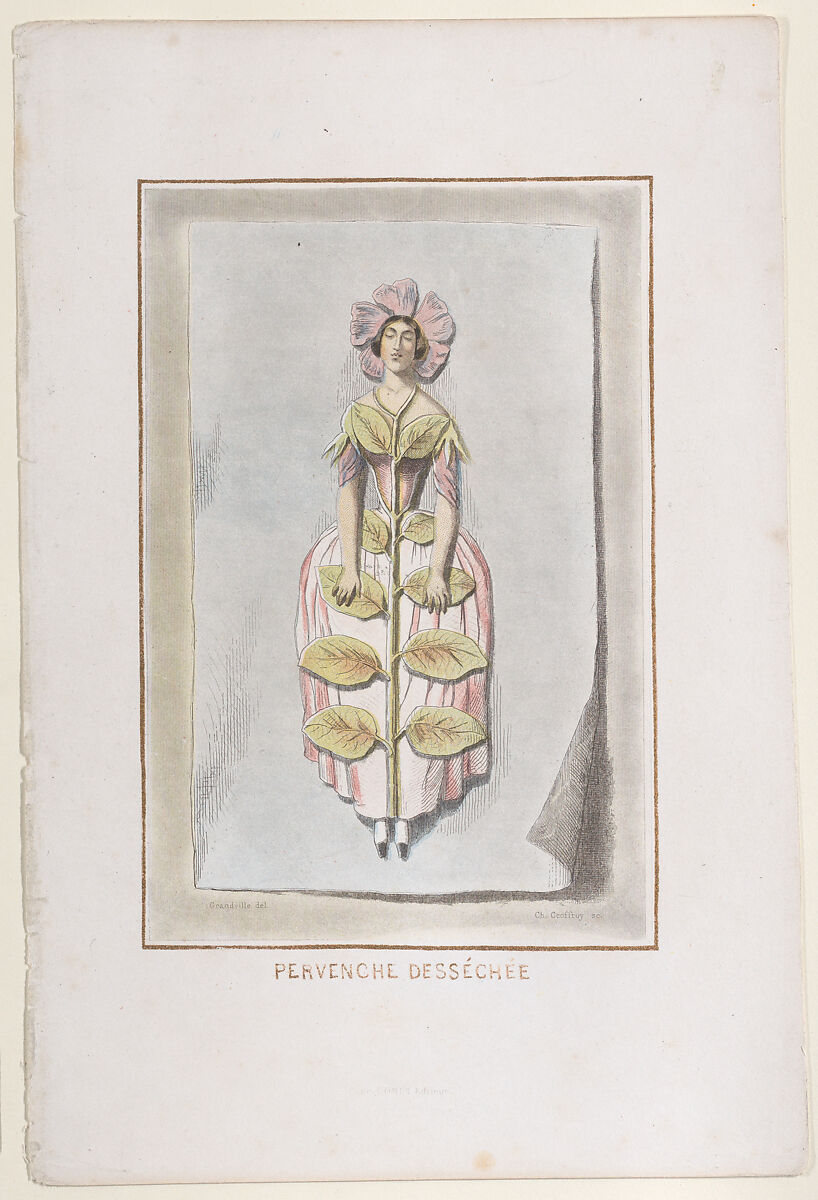 Perveche Desséchée, from "Les Fleurs Animées", J. J. Grandville (French, Nancy 1803–1847 Vanves), Wood engravings and lithographs, hand-colored 