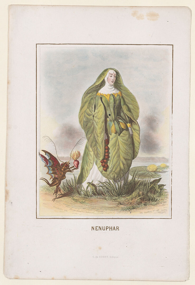Nenuphar, from "Les Fleurs Animées", J. J. Grandville (French, Nancy 1803–1847 Vanves), Wood engravings and lithographs, hand-colored 