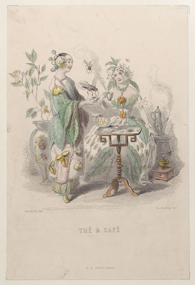 Thé & Café, from "Les Fleurs Animées", J. J. Grandville (French, Nancy 1803–1847 Vanves), Wood engraving, hand-colored 