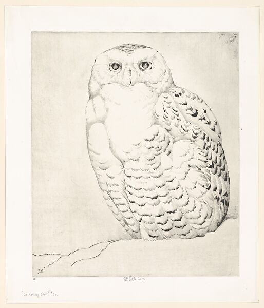 Snowy Owl, Henry Emerson Tuttle (American, Lake Forest, Illinois 1890–1946 New Haven, Connecticut), Drypoint 