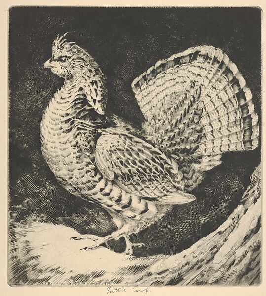 Strutting Cock, Henry Emerson Tuttle (American, Lake Forest, Illinois 1890–1946 New Haven, Connecticut), Drypoint 
