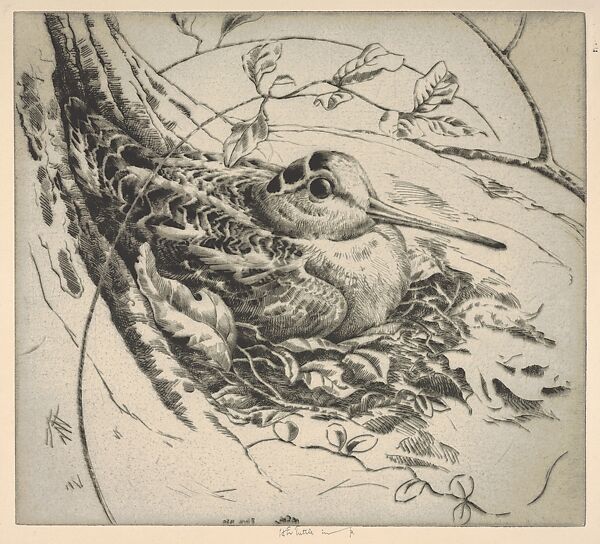 Nesting Woodcock, Henry Emerson Tuttle (American, Lake Forest, Illinois 1890–1946 New Haven, Connecticut), Drypoint 