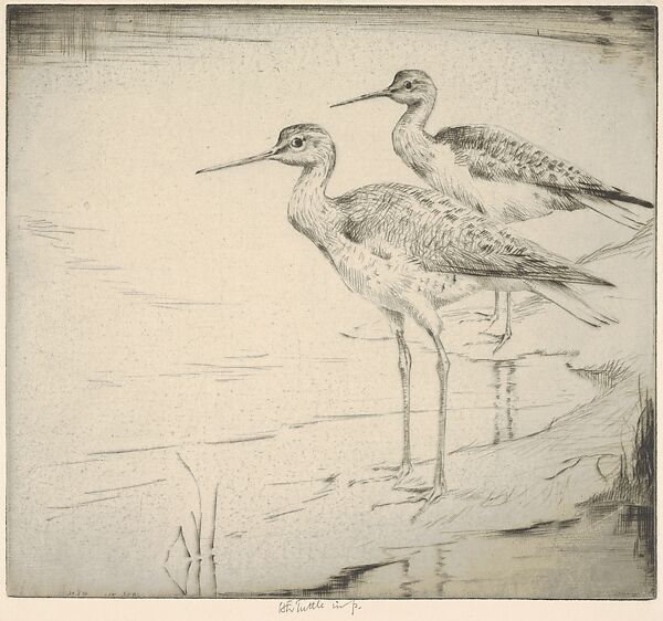 Two Yellow-legs (Wading in), Henry Emerson Tuttle (American, Lake Forest, Illinois 1890–1946 New Haven, Connecticut), Drypoint 