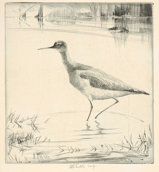 Listening Yellow-legs, Henry Emerson Tuttle (American, Lake Forest, Illinois 1890–1946 New Haven, Connecticut), Drypoint 