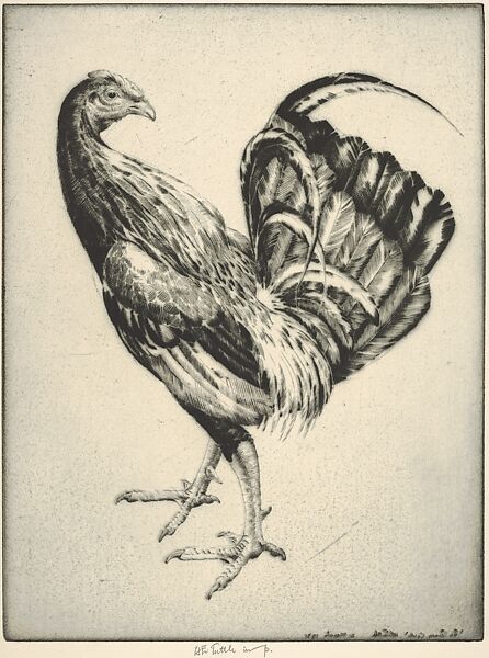 Game Cock (Carney Cock), Henry Emerson Tuttle (American, Lake Forest, Illinois 1890–1946 New Haven, Connecticut), Drypoint 