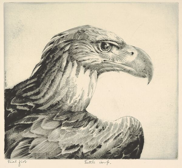 Aquiline (Eagle Head), Henry Emerson Tuttle (American, Lake Forest, Illinois 1890–1946 New Haven, Connecticut), Drypoint 