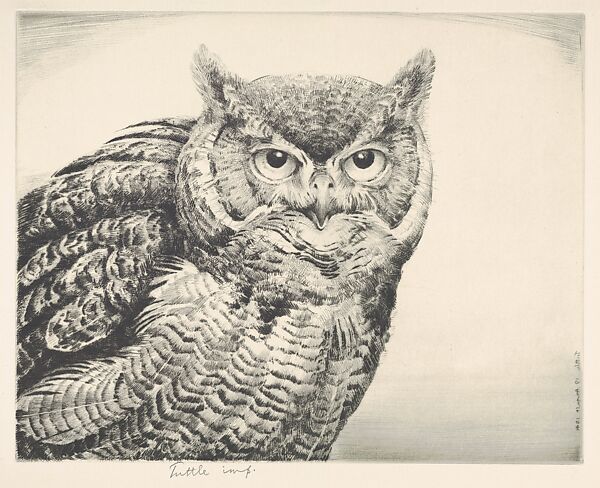 Great Horned Owl, Henry Emerson Tuttle (American, Lake Forest, Illinois 1890–1946 New Haven, Connecticut), Drypoint 