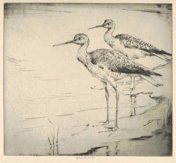 Two Yellow-legs (Wading in), Henry Emerson Tuttle (American, Lake Forest, Illinois 1890–1946 New Haven, Connecticut), Drypoint 