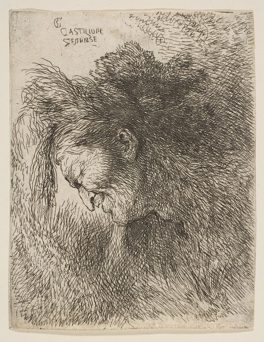 Head of an old man looking down, facing left, from "Small Heads in Oriental Headdress", Giovanni Benedetto Castiglione (Il Grechetto) (Italian, Genoa 1609–1664 Mantua), Etching 