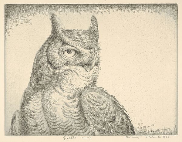 Horned Owl (Portrait Great Horned Owl), Henry Emerson Tuttle (American, Lake Forest, Illinois 1890–1946 New Haven, Connecticut), Drypoint 