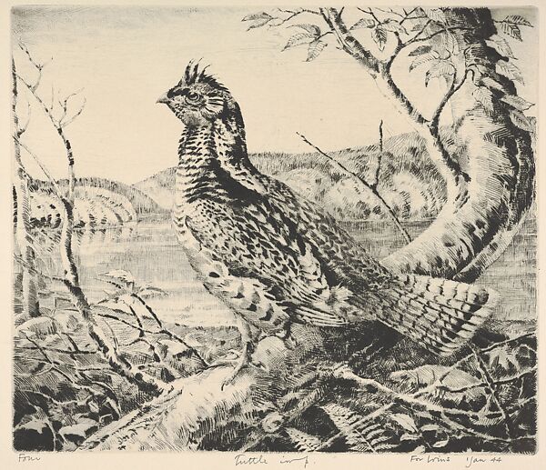 Ruffled Grouse, Henry Emerson Tuttle (American, Lake Forest, Illinois 1890–1946 New Haven, Connecticut), Drypoint 