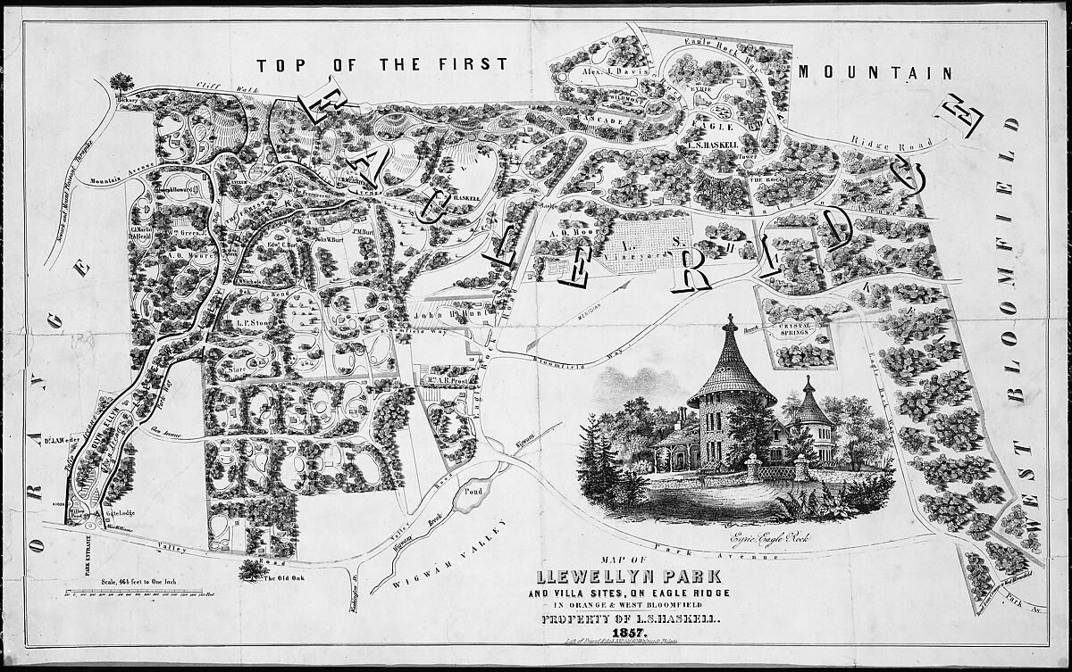 Map of Llewellyn Park and Villa Sites, on Eagle Ridge in Orange & West Bloomfield, After Alexander Jackson Davis (American, New York 1803–1892 West Orange, New Jersey), Lithograph 