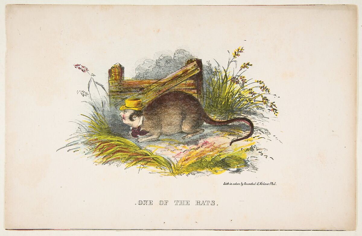 One of the Rats, from "The Comic Natural History of the Human Race", Henry Louis Stephens (American, Philadelphia, Pennsylvania 1824–1882 Bayonne, New Jersey), Color lithograph with watercolor and gum 