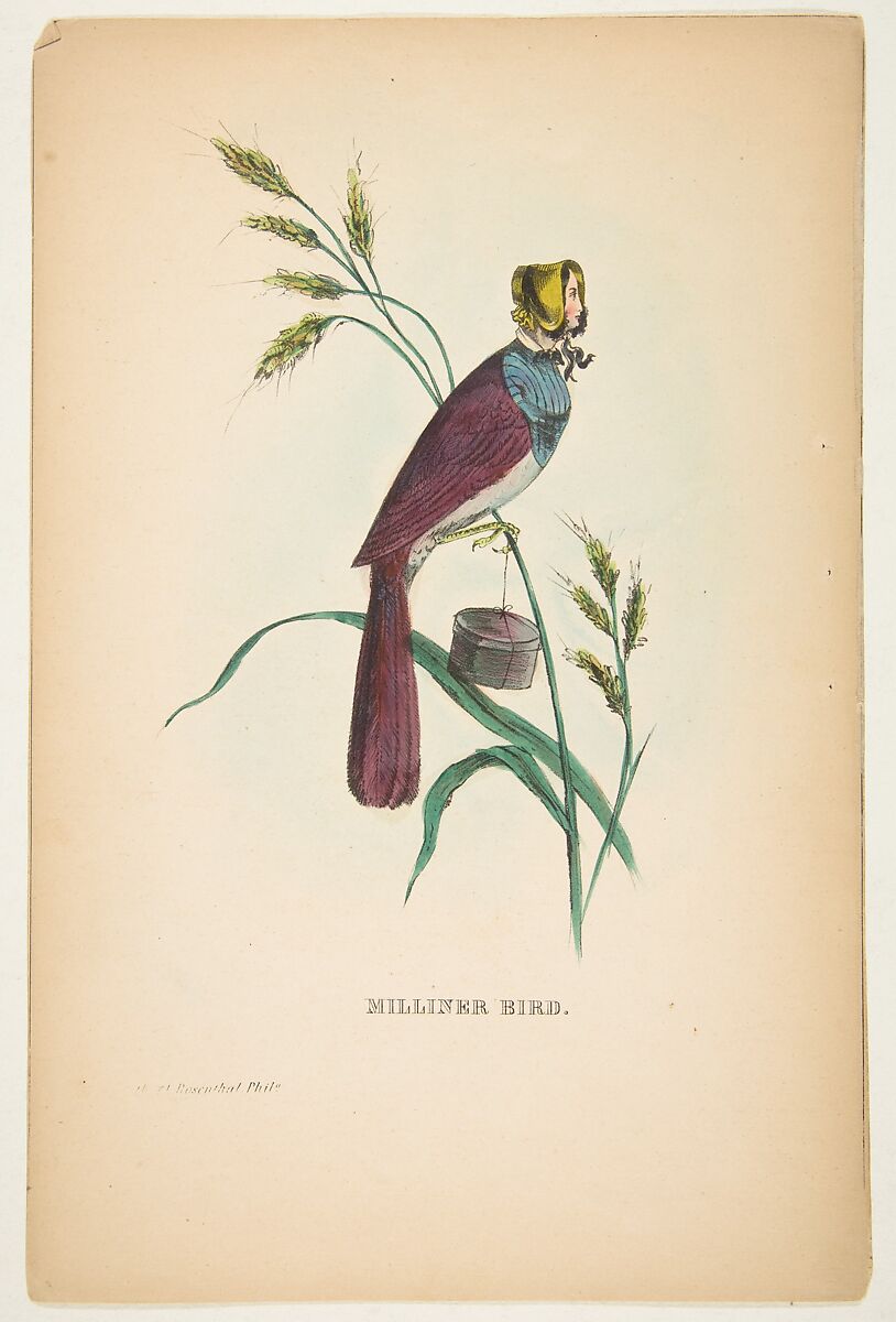 Milliner Bird (Minnie Doyle), from "The Comic Natural History of the Human Race", Henry Louis Stephens (American, Philadelphia, Pennsylvania 1824–1882 Bayonne, New Jersey), Color lithograph with watercolor and gum 