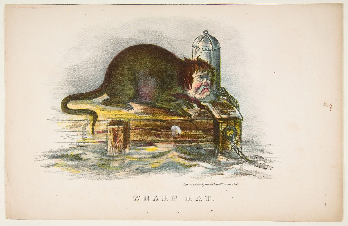 Wharf Rat, from "The Comic Natural History of the Human Race", Henry Louis Stephens (American, Philadelphia, Pennsylvania 1824–1882 Bayonne, New Jersey), Color lithograph with watercolor and gum 