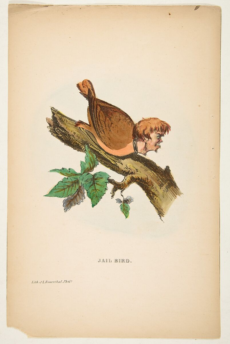Jail Bird, from "The Comic Natural History of the Human Race", Henry Louis Stephens (American, Philadelphia, Pennsylvania 1824–1882 Bayonne, New Jersey), Color lithograph with watercolor and gum 