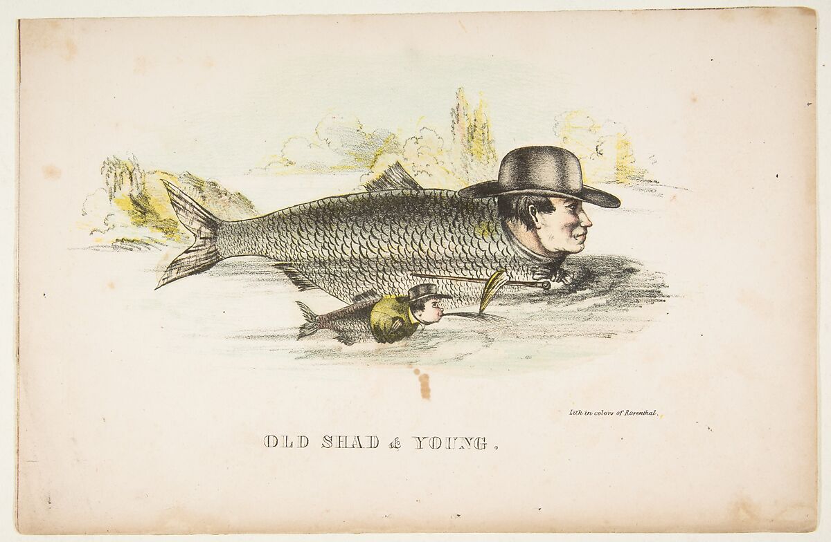 Old Shad & Young, from "The Comic Natural History of the Human Race", Henry Louis Stephens (American, Philadelphia, Pennsylvania 1824–1882 Bayonne, New Jersey), Color lithograph with watercolor and gum 