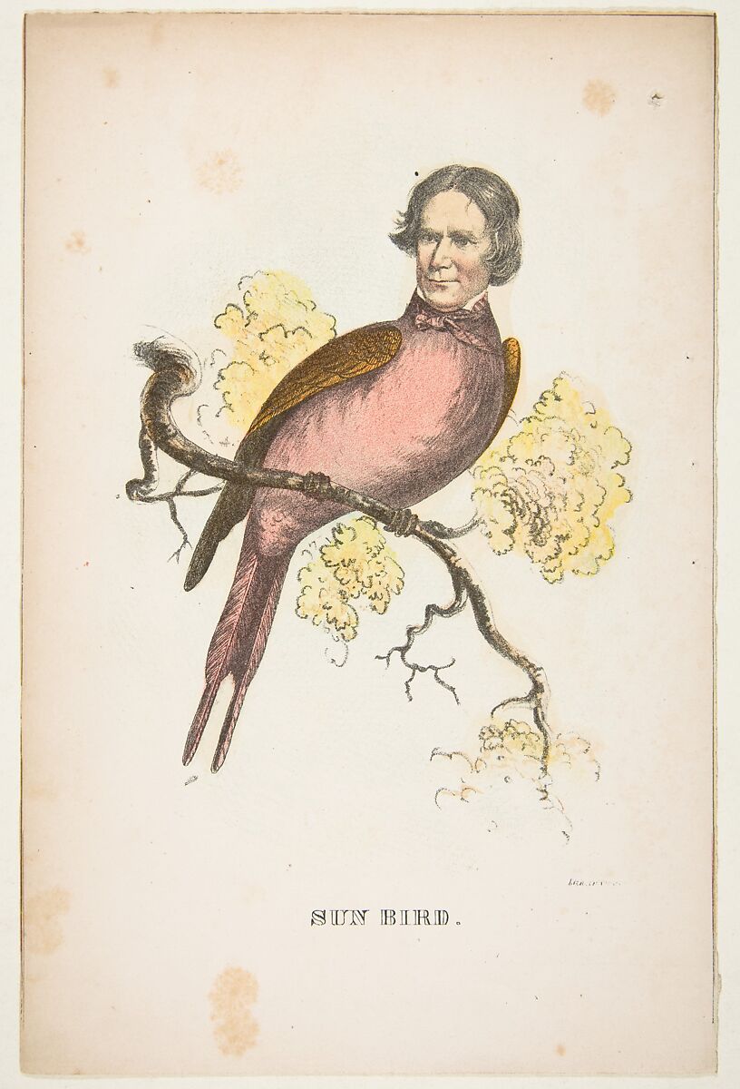 Sun Bird (James S. Wallace), from "The Comic Natural History of the Human Race", Henry Louis Stephens (American, Philadelphia, Pennsylvania 1824–1882 Bayonne, New Jersey), Color lithograph with watercolor and gum 