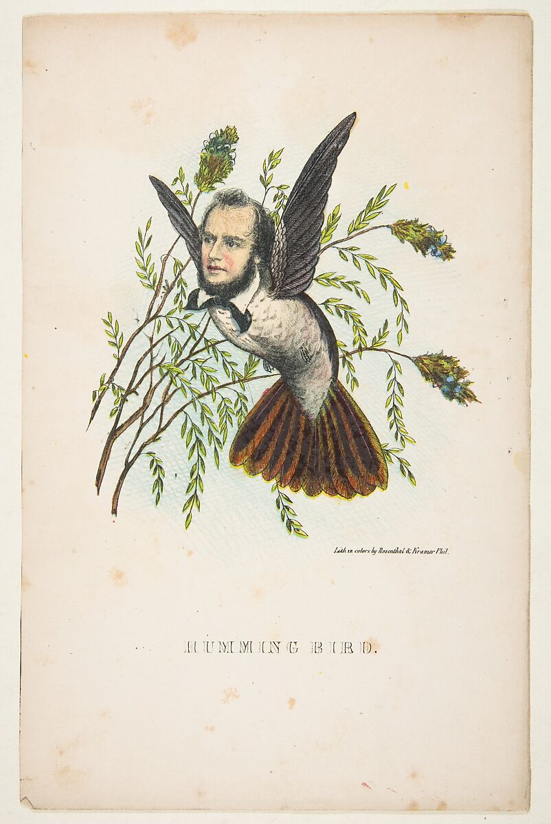 Humming Bird (Thomas B. Florence), from "The Comic Natural History of the Human Race", Henry Louis Stephens (American, Philadelphia, Pennsylvania 1824–1882 Bayonne, New Jersey), Color lithograph with watercolor and gum 