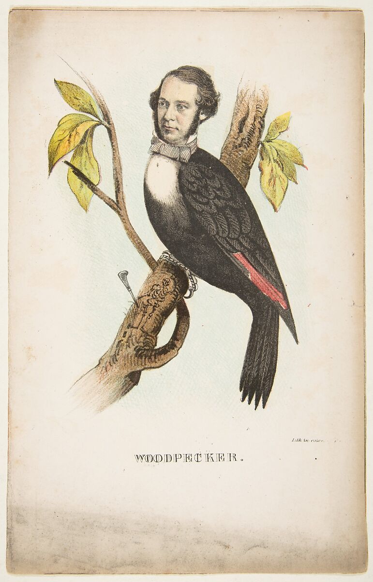 Woodpecker (William B. Gihon), from "The Comic Natural History of the Human Race", Henry Louis Stephens (American, Philadelphia, Pennsylvania 1824–1882 Bayonne, New Jersey), Color lithograph with watercolor and gum 