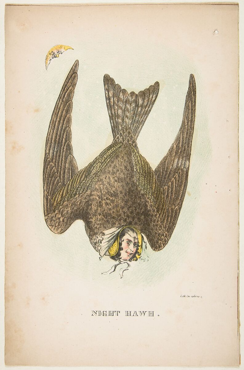 Night Hawk, from "The Comic Natural History of the Human Race", Henry Louis Stephens (American, Philadelphia, Pennsylvania 1824–1882 Bayonne, New Jersey), Color lithograph with watercolor and gum 