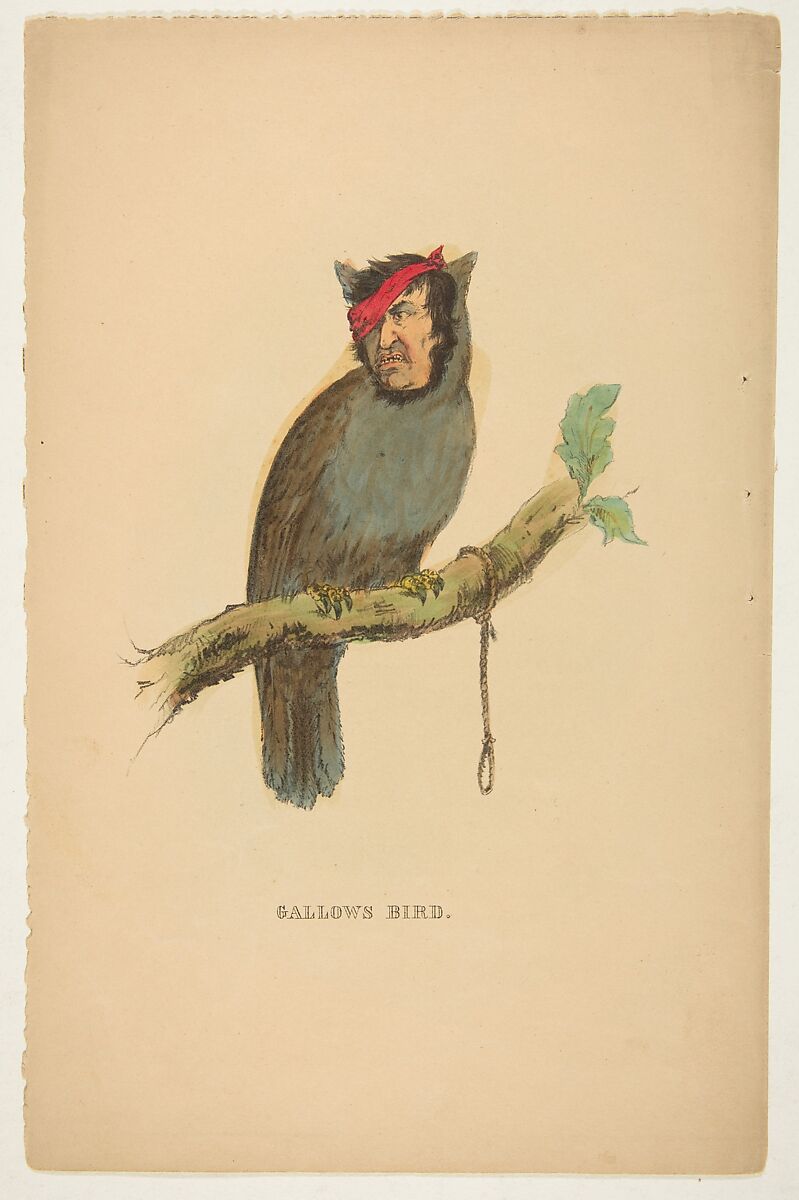 Gallows Bird, from "The Comic Natural History of the Human Race", Henry Louis Stephens (American, Philadelphia, Pennsylvania 1824–1882 Bayonne, New Jersey), Color lithograph with watercolor and gum 