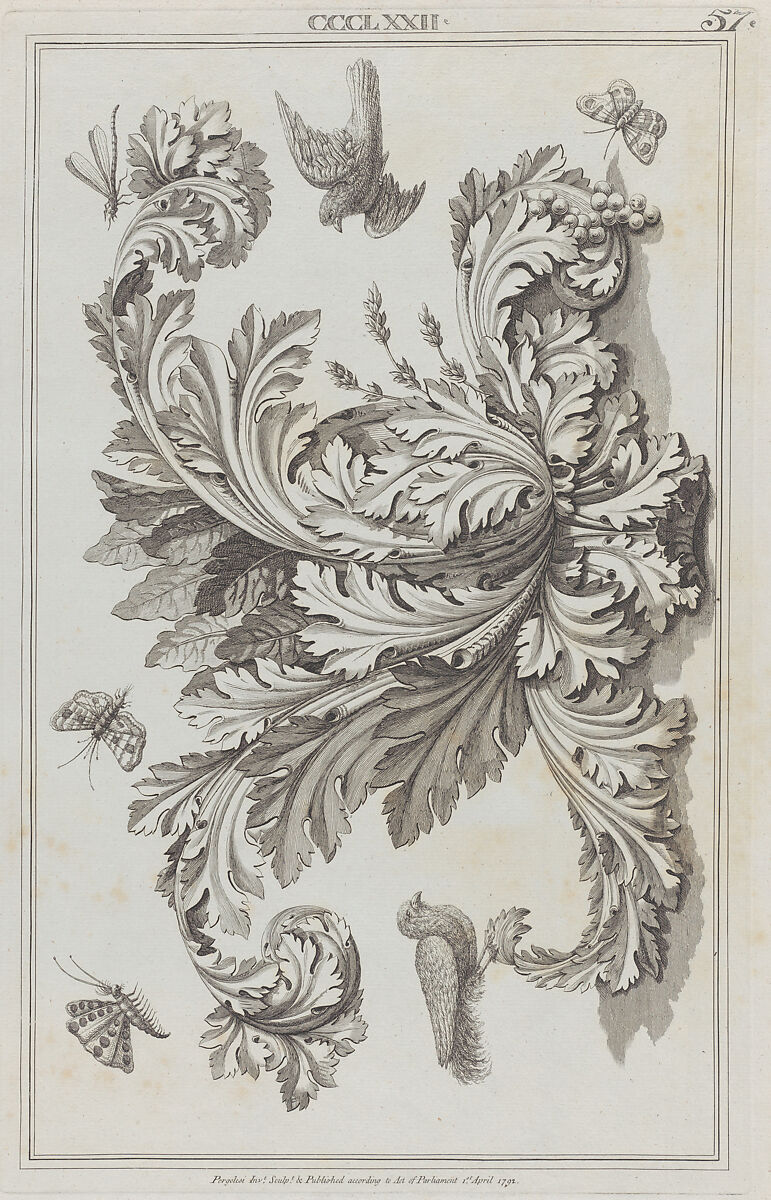 Acanthus Leaves, Birds and Insects, no. CCCLXXII, plate 57 from "Designs for Various Ornaments", Michelangelo Pergolesi (Italian, active from 1760–died 1801), Etching and engraving 