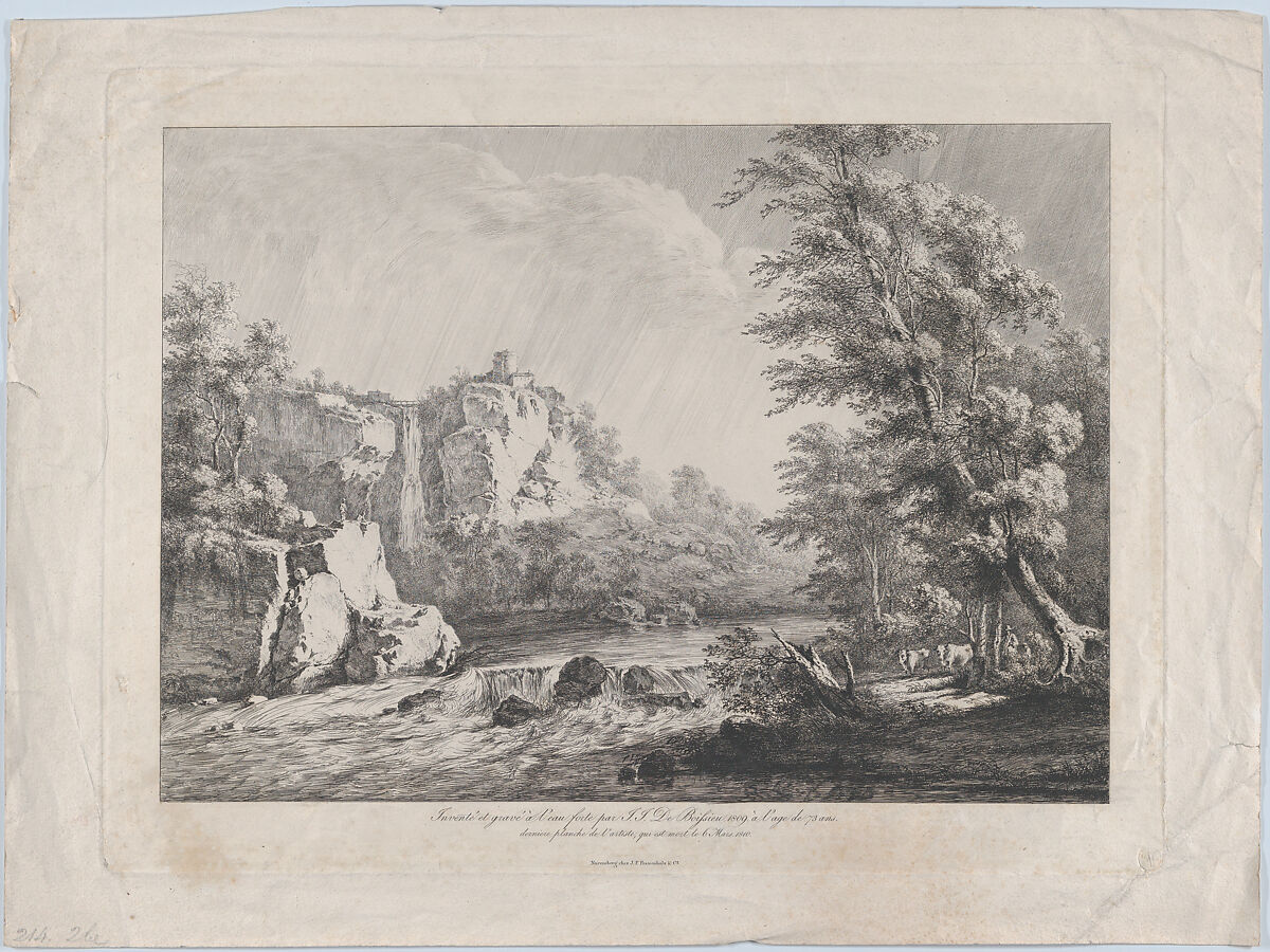 Birch Tree Uprooted by a Storm, Jean Jacques de Boissieu (French, Lyons 1736–1810 Lyons), Etching with drypoint and roulette; seventh state of eight  (Perez) 