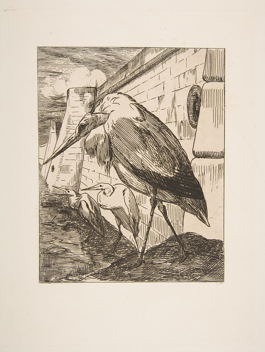 Les Cigognes, Félix Bracquemond (French, Paris 1833–1914 Sèvres), Etching; third state of three 