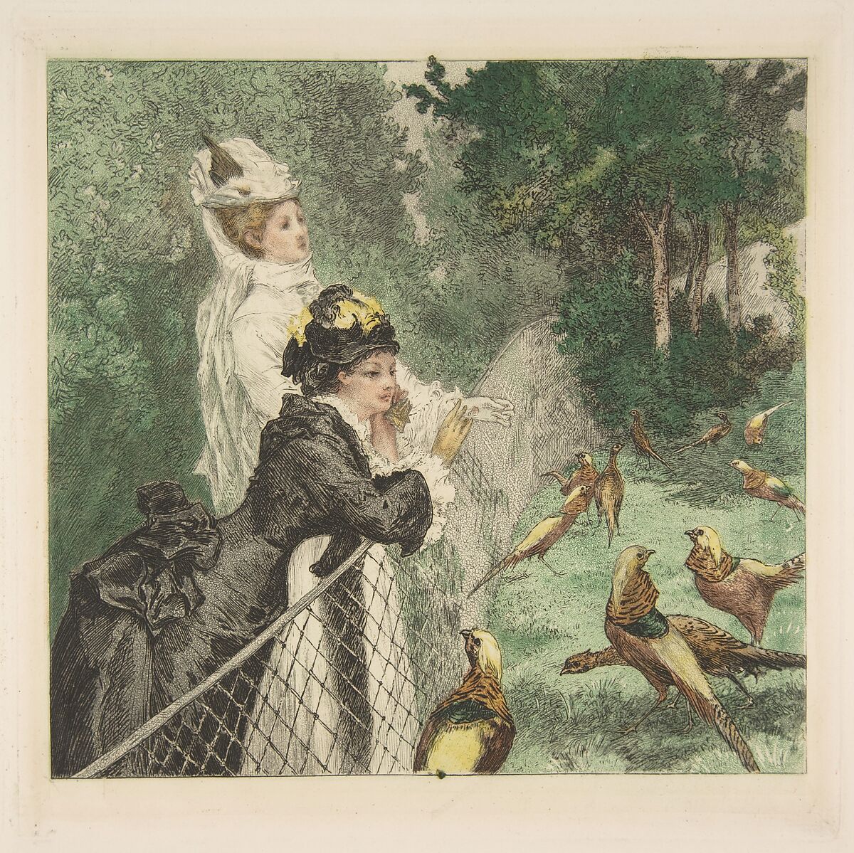 In the Zoological Garden, Félix Bracquemond (French, Paris 1833–1914 Sèvres), Etching, drypoint, and aquatint printed in color; seventh state of seven 