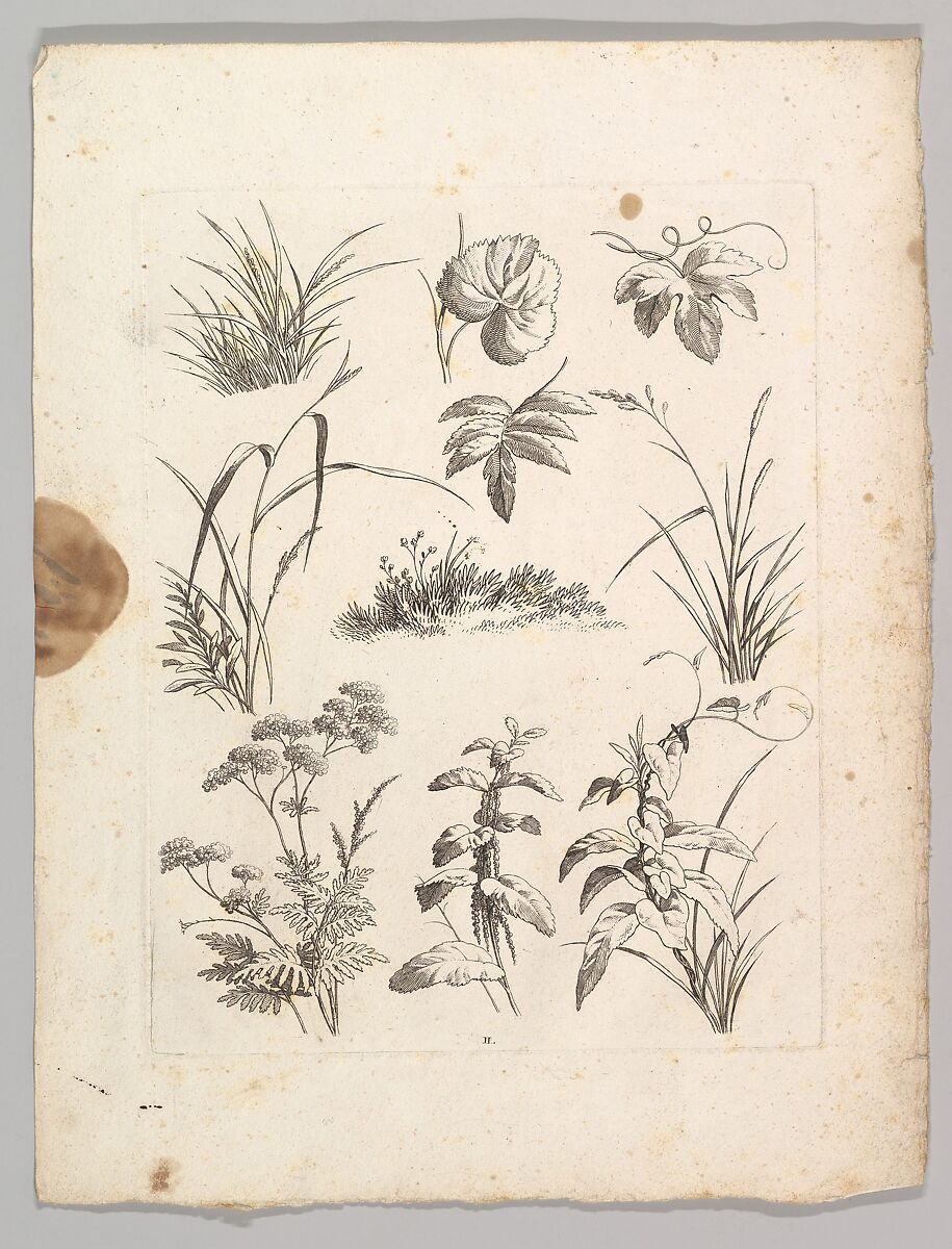 Studienblätter für Landschaftzeichner, Adrian Zingg (Swiss, St. Gallen 1734–1816 Leipzig), Etching and letterpress text in original lithographed, ochre-colored paper cover