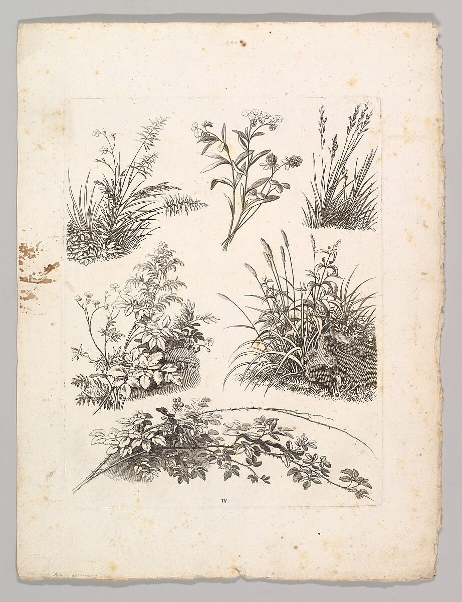 Studienblätter für Landschaftzeichner, Adrian Zingg (Swiss, St. Gallen 1734–1816 Leipzig), Etching and letterpress text in original lithographed, ochre-colored paper cover