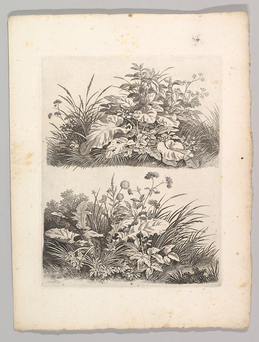 Studienblätter für Landschaftzeichner, Adrian Zingg (Swiss, St. Gallen 1734–1816 Leipzig), Etching and letterpress text in original lithographed, ochre-colored paper cover