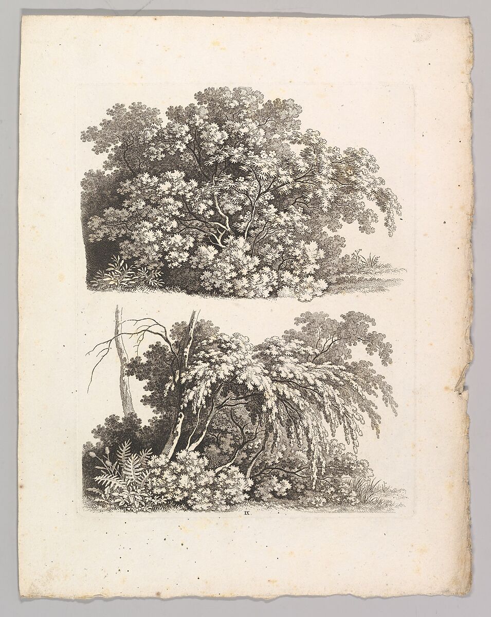 Studienblätter für Landschaftzeichner, Adrian Zingg (Swiss, St. Gallen 1734–1816 Leipzig), Etching and letterpress text in original lithographed, ochre-colored paper cover