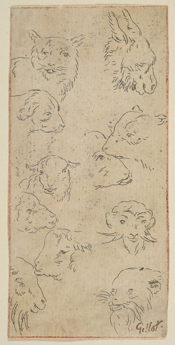 Study of animal heads, Claude Gillot (French, Langres 1673–1722 Paris) 