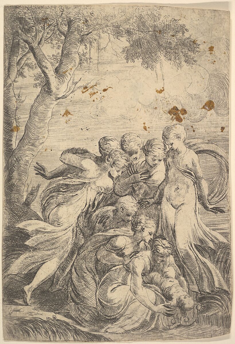 The infant Moses rescued from the Nile, Andrea Schiavone (Andrea Meldola) (Italian, Zadar (Zara) ca. 1510?–1563 Venice), Etching 