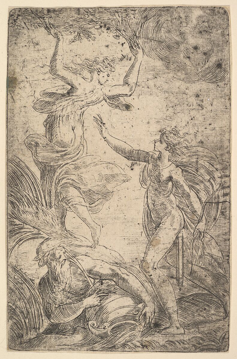 Apollo at right holding a bow chasing Daphne at the left, Andrea Schiavone (Andrea Meldola) (Italian, Zadar (Zara) ca. 1510?–1563 Venice), Etching 