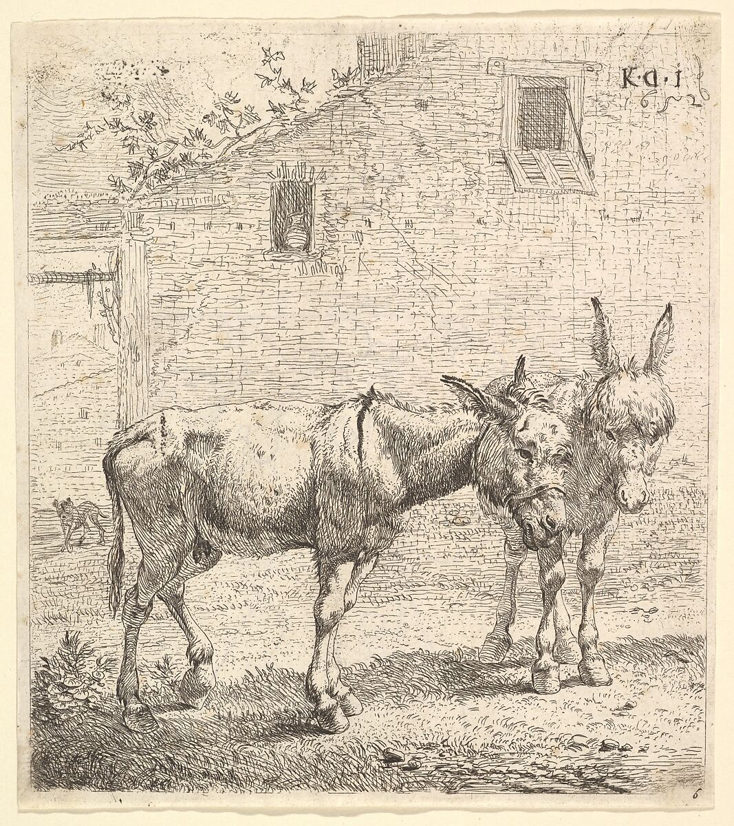 Two donkeys standing in a grassy yard, one in profile view facing right and another behind in three-quarter view, a dog and a building wall with two windows beyond, Karel Dujardin (Dutch, Amsterdam 1622–1678 Venice), Etching 