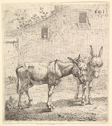 Two donkeys standing in a grassy yard, one in profile view facing right and another behind in three-quarter view, a dog and a building wall with two windows beyond