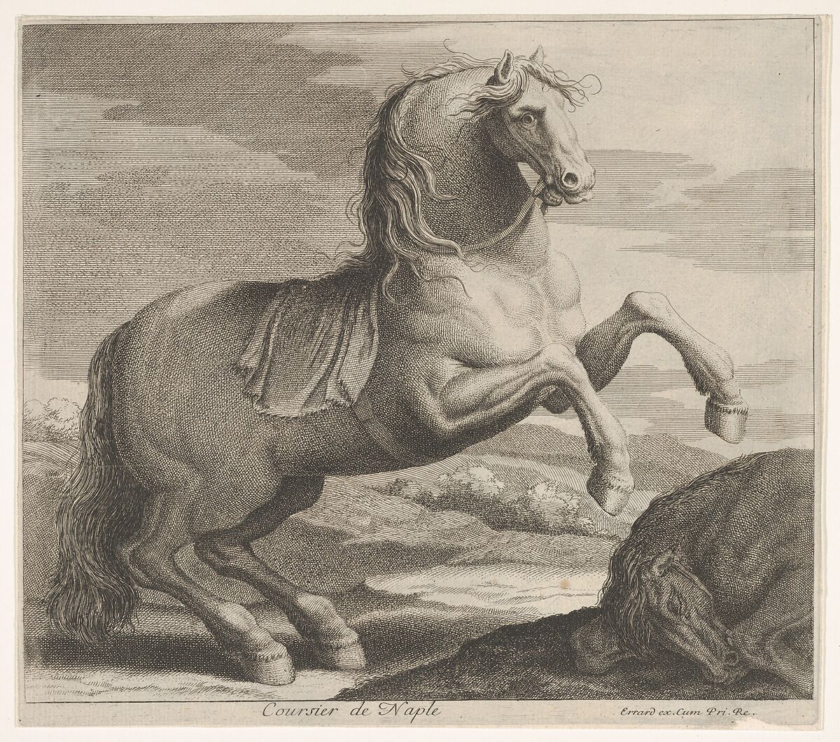 Coursier de Naple, Charles Errard le fils (French, Nantes ca.1606/09–1689 Rome), Engraving 