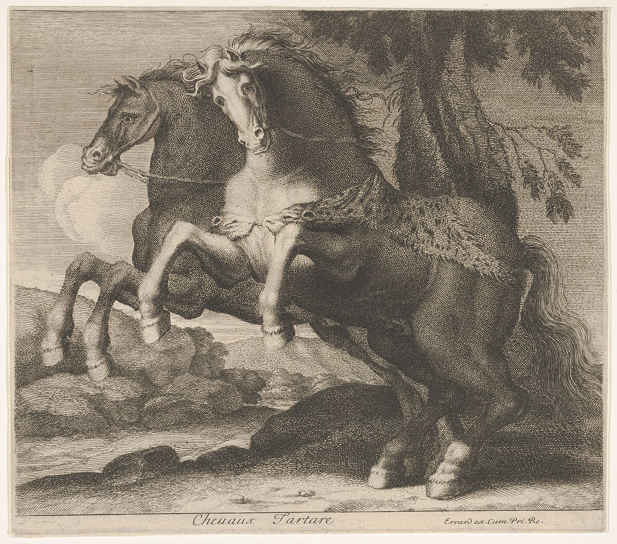 Chevaux Tartare, Charles Errard le fils (French, Nantes ca.1606/09–1689 Rome), Engraving 