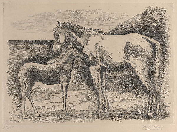 Mare and Foal