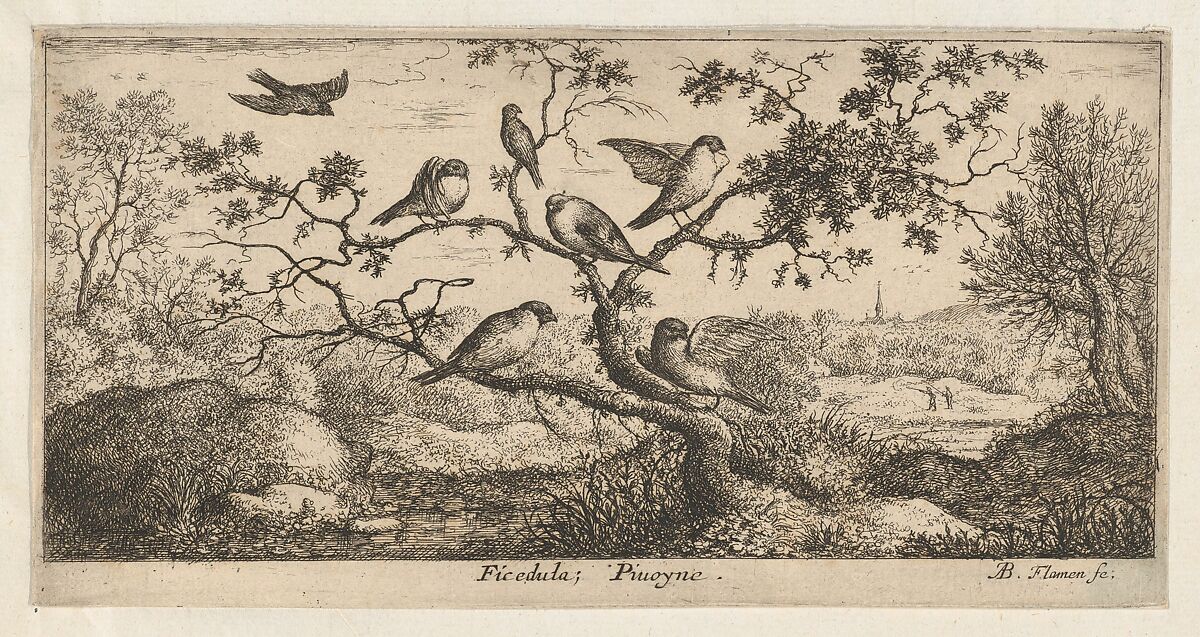 Title Page from "Livre d'Oyseaux" (Book of Birds), Albert Flamen (Flemish, born ca. 1620, active 1648–88), Etching