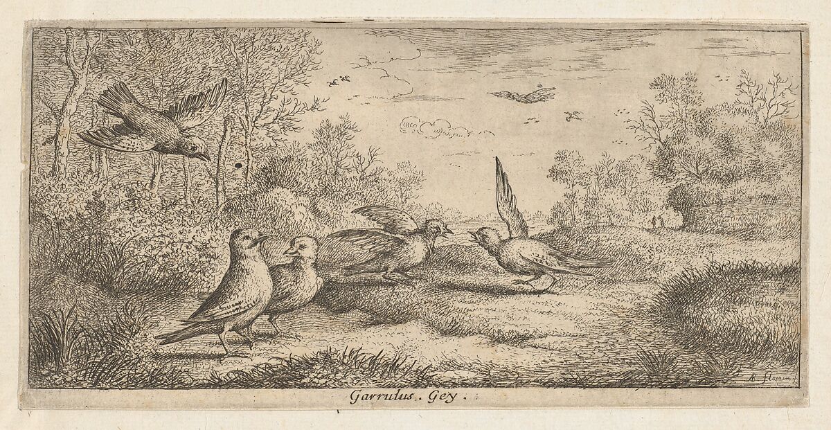 Title Page from "Livre d'Oyseaux" (Book of Birds), Albert Flamen (Flemish, born ca. 1620, active 1648–88), Etching