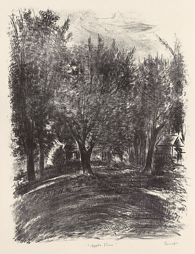Apple Trees