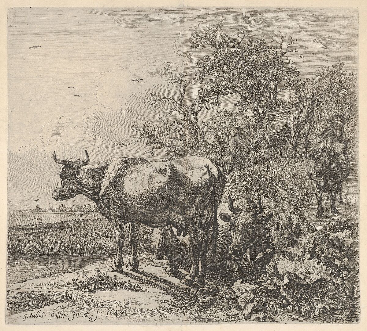 Cowherd driving three horned cattle before him; below, in the foreground, a recumbent steer and a standing steer, marsh and trees beyond, Paulus Potter (Dutch, Enkhuizen 1625–1654 Amsterdam), Etching 
