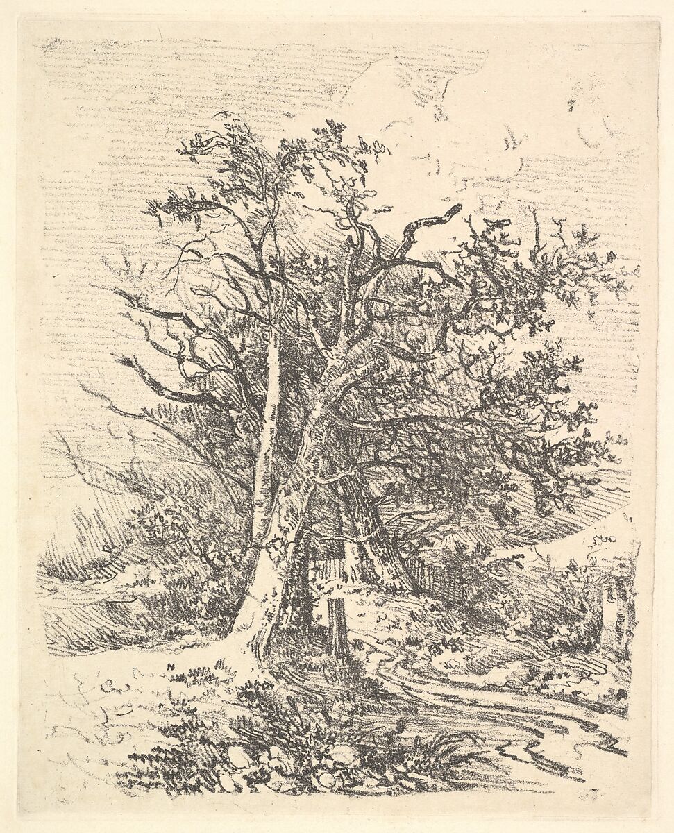 Tree Trunks and Lane, John Crome (British, Norwich 1768–1821 Norwich), Softground etching on chine collé 