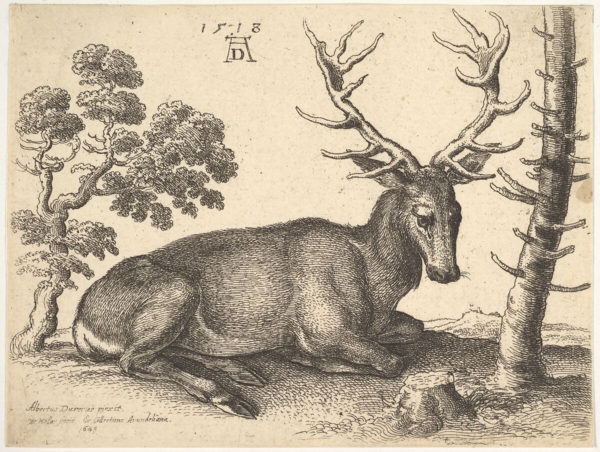 Stag lying to right, Wenceslaus Hollar (Bohemian, Prague 1607–1677 London), Etching; only state 