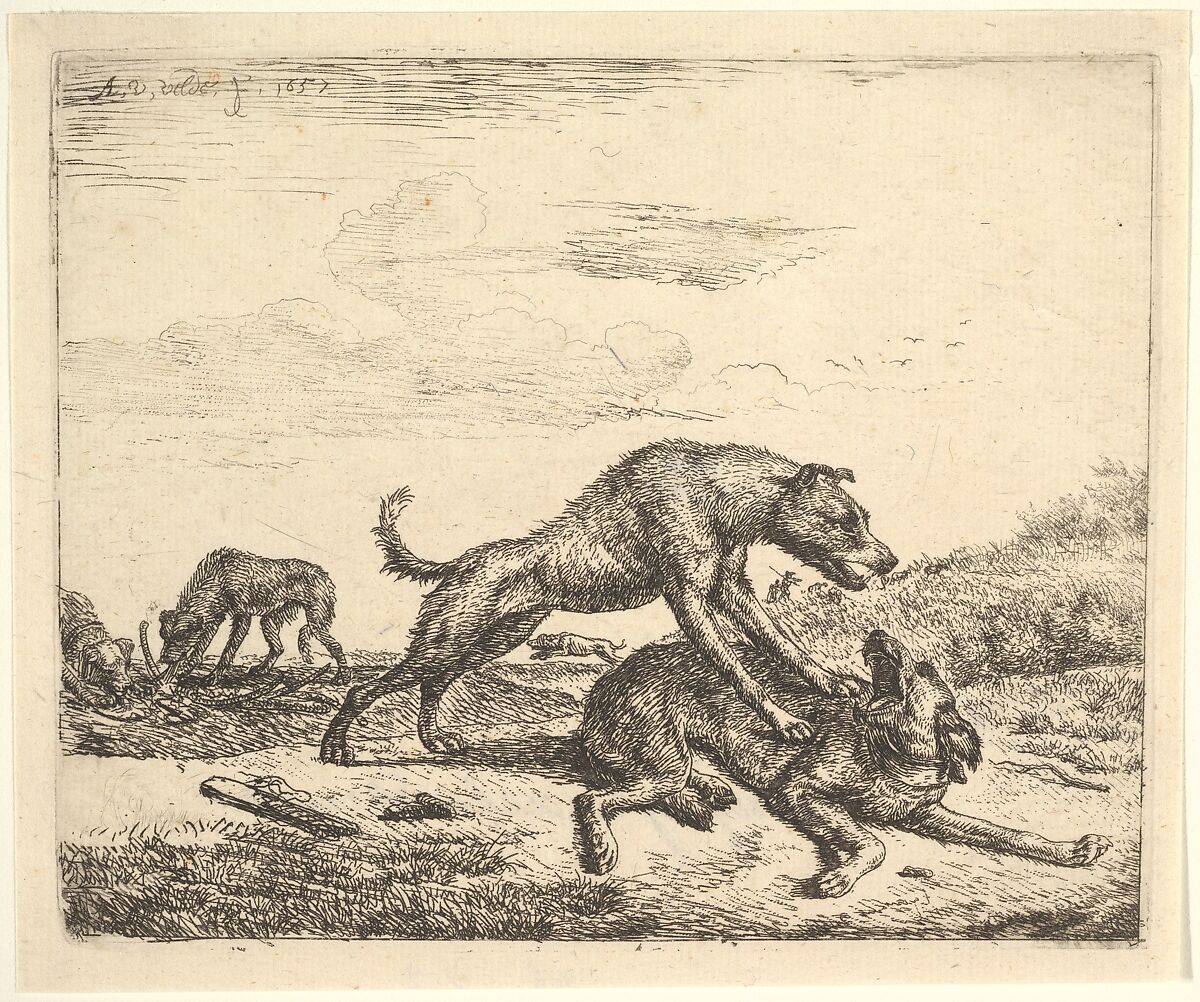 Fighting Dogs, from Different Animals, Adriaen van de Velde (Dutch, Amsterdam 1636–1672 Amsterdam), Etching 