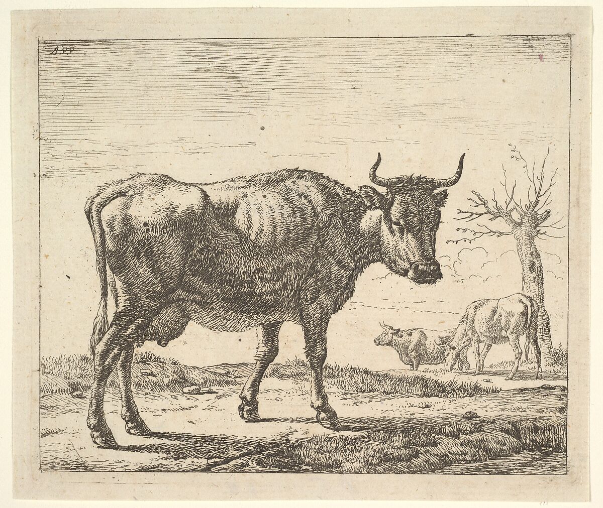 Three Cows, from Different Animals, Adriaen van de Velde (Dutch, Amsterdam 1636–1672 Amsterdam), Etching 
